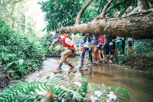 BIB: 
                            <button type="button" onclick="openModal(25471752)" class="btn btn-primary btn-sm float-right btn-popup" data-toggle="modal" data-target=".modal-high-quality">
                        <i class="fas fa-shopping-cart"></i> Add to Cart
                    </button>
                                            <button type="button" onclick="isThisMe(25471752, true)" class="btn btn-success btn-sm float-right btn-popup btn-isme hidden" data-toggle="tooltip" data-placement="bottom" title="นี่คือรูปของคุณใช่ไหม คลิกที่นี่เพื่อเอาเข้าอัลบั้ม">
                        <i class="fas fa-plus"></i> Add to album
                    </button>
                    <button type="button" onclick="isThisMe(25471752, false)" class="btn btn-warning btn-sm float-right btn-popup btn-isnotme hidden">
                        <i class="fas fa-ban"></i> Remove from album
                    </button>